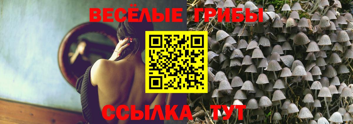 Чебаркуль  Псилоцибиновые грибы Psilocybe  Вход с VPN 